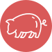 Iberische varkenshammen